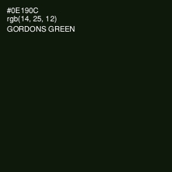 #0E190C - Gordons Green Color Image