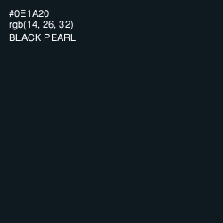 #0E1A20 - Black Pearl Color Image
