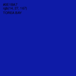 #0E1BA7 - Torea Bay Color Image