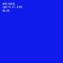 #0E1BEB - Blue Color Image