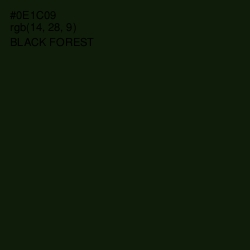 #0E1C09 - Black Forest Color Image