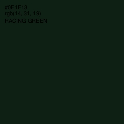 #0E1F13 - Racing Green Color Image