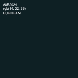 #0E2024 - Burnham Color Image