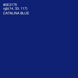 #0E2175 - Catalina Blue Color Image