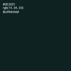 #0E2221 - Burnham Color Image