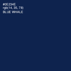 #0E234E - Blue Whale Color Image