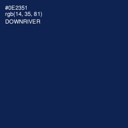 #0E2351 - Downriver Color Image