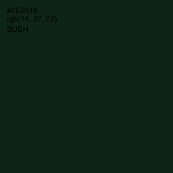 #0E2516 - Bush Color Image