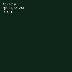 #0E2519 - Bush Color Image
