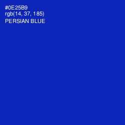 #0E25B9 - Persian Blue Color Image