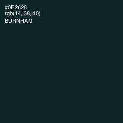 #0E2628 - Burnham Color Image