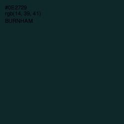 #0E2729 - Burnham Color Image