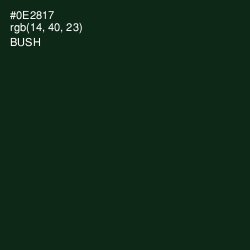 #0E2817 - Bush Color Image