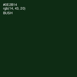 #0E2B14 - Bush Color Image