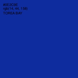 #0E2C9E - Torea Bay Color Image