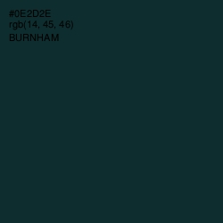 #0E2D2E - Burnham Color Image