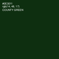 #0E3011 - County Green Color Image