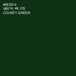 #0E3014 - County Green Color Image