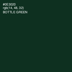 #0E3020 - Bottle Green Color Image