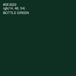 #0E3022 - Bottle Green Color Image