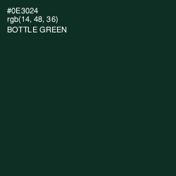 #0E3024 - Bottle Green Color Image