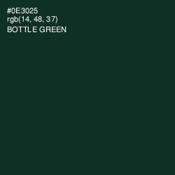 #0E3025 - Bottle Green Color Image