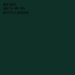 #0E3027 - Bottle Green Color Image