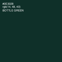 #0E3028 - Bottle Green Color Image