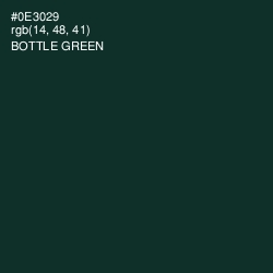 #0E3029 - Bottle Green Color Image