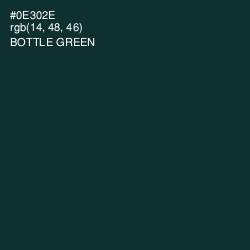 #0E302E - Bottle Green Color Image