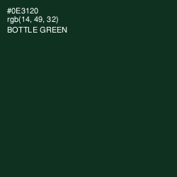 #0E3120 - Bottle Green Color Image