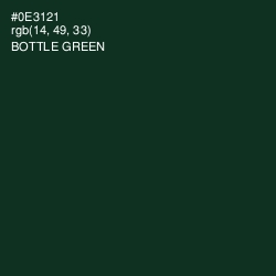 #0E3121 - Bottle Green Color Image