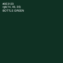 #0E3123 - Bottle Green Color Image