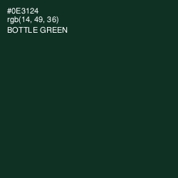 #0E3124 - Bottle Green Color Image