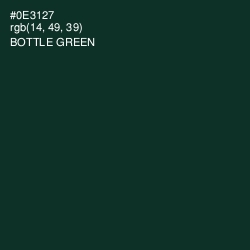 #0E3127 - Bottle Green Color Image