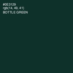 #0E3129 - Bottle Green Color Image