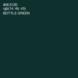 #0E312D - Bottle Green Color Image