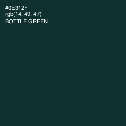#0E312F - Bottle Green Color Image