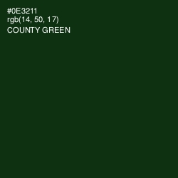 #0E3211 - County Green Color Image