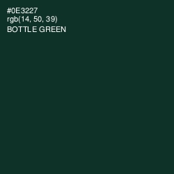 #0E3227 - Bottle Green Color Image