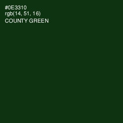 #0E3310 - County Green Color Image