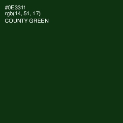 #0E3311 - County Green Color Image