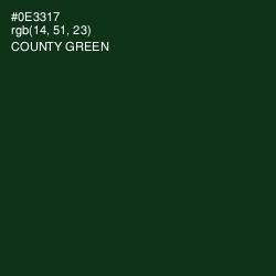 #0E3317 - County Green Color Image
