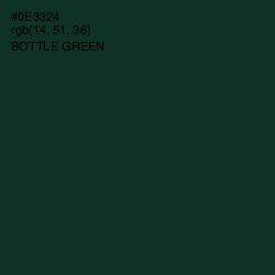 #0E3324 - Bottle Green Color Image