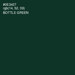 #0E3427 - Bottle Green Color Image