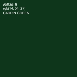 #0E361B - Cardin Green Color Image