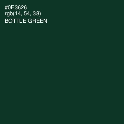 #0E3626 - Bottle Green Color Image