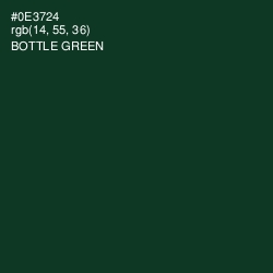 #0E3724 - Bottle Green Color Image