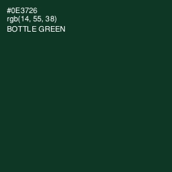 #0E3726 - Bottle Green Color Image
