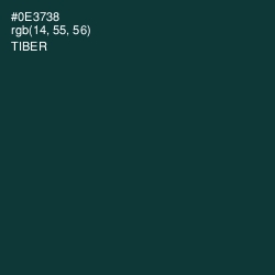 #0E3738 - Tiber Color Image